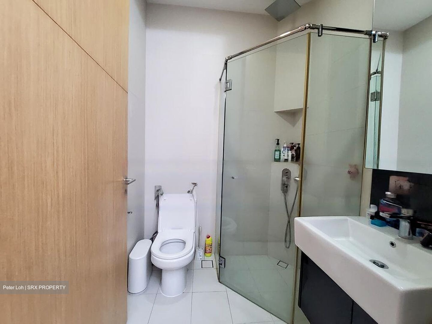 Ascent @ 456 (D12), Apartment #576350871